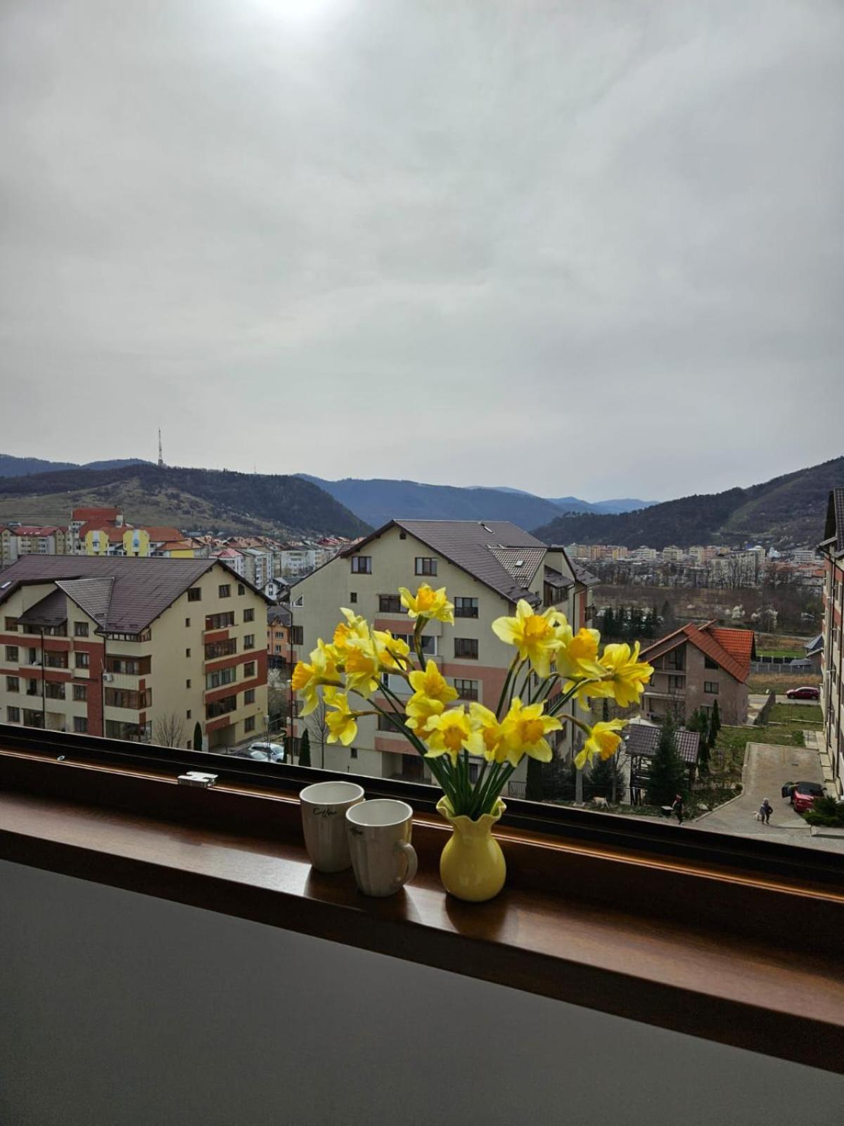 Tei Residence Piatra Neamţ Dış mekan fotoğraf